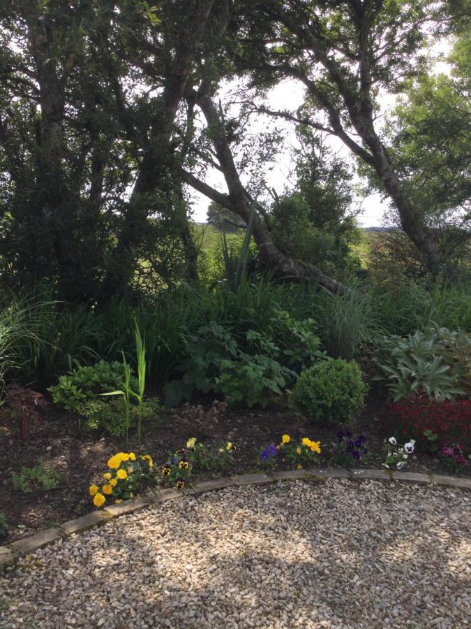 Tullybeggs B&B Clifden Exterior foto